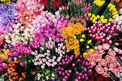 2024年科隆国际游戏展获奖游戏名单 《怪物猎人：荒野》获多个奖项 